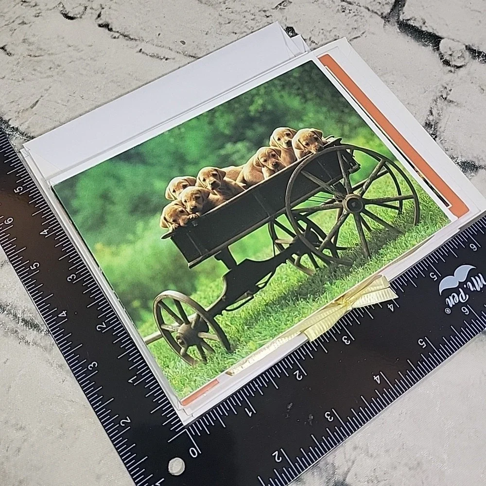 Notecards Blank Inside Greeting Cards Lot Of 7 Pets Puppies Dogs Textured